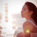 Jin Ye Yan Hua Can Lan 今夜烟花灿烂