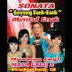 sonata budal ngamen