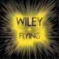 Flying - Wiley