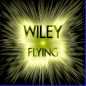 Flying Remix