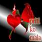 Priti Ko Mala