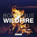 Wildfire (Original Mix)