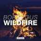 Wildfire - Borgeous 