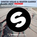 Tremor (Radio Edit)
