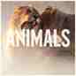 Animals - Maroon 5