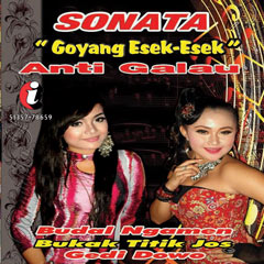 sonata budal ngamen