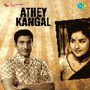 Kannukku Theriyaatha