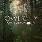 My Everything - Owl City