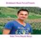 Malai Timro Mayale Maryo - Bindabasini - Mp3 Collection Vol 1