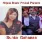 Sunko Gahanaa (Nirjala Music Pvt.Ltd) Mp3 Collection Vol 1