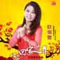 Hui Jia Guo Nian 回家过年