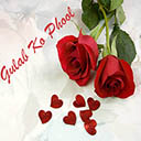 Gulab Ko Phool Duet