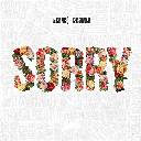 Sorry Feat. Chris Brown