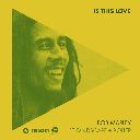 Is This Love (Remix) Feat. Lvndscape & Bolier