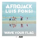 Wave Your Flag Feat. Luis Fonsi