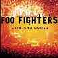 Skin And Bones - Foo Fighters