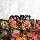 Perfect Feat. Chris Brown