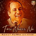 Teri Nazar Na
