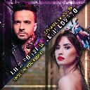 Echame La Culpa (Not On You Remix)