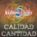 Calidad Y Cantidad