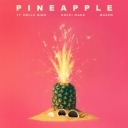 Pineapple Feat. Gucci Mane & Quavo