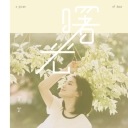 Xing Li Xiang 行李箱