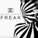 Freak Like Me (Chorus)