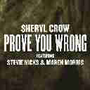 Prove You Wrong Feat. Stevie Nicks, Maren Morris