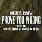 Prove You Wrong - Sheryl Crow