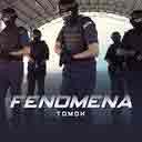 Fenomena