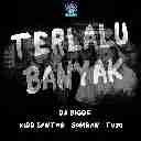 Terlalu Banyak