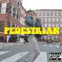 Pedestrian