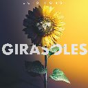 Girasoles