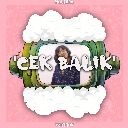 Cek Balik
