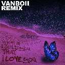 What If I Told You That I Love You (Vanboii Remix)