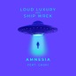 Amnesia - Loud Luxury & Ship Wrek