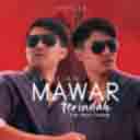 Mawar Terindah