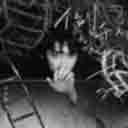 Dao Xu De Sheng Huo 倒叙的生活