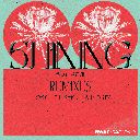Shining Feat. Fiona Sit (Trosy Remix) Shining Feat. 薛凯琪 (Trosy Remix)