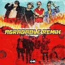 Agradable Remix Feat. Train