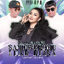 Sandiworomu Luar Biasa (DJ Donall Remix)