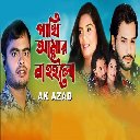 Pakhi Amar Na Hoilo