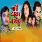 Pakhi Amar Na Hoilo