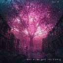 From The Ashes (Paul Van Dyk Remix)