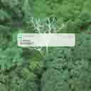 Ren Bu Zhu Xiang Ni Le 忍不住想你了