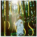 Mian Si Jin Pai 免死金牌