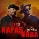 Nafas Naga