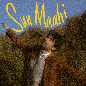 Sun Maahi