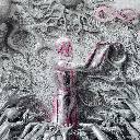 Xiang Si Er Sheng 向死而生