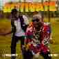 Activate - Davido & Stonebwoy